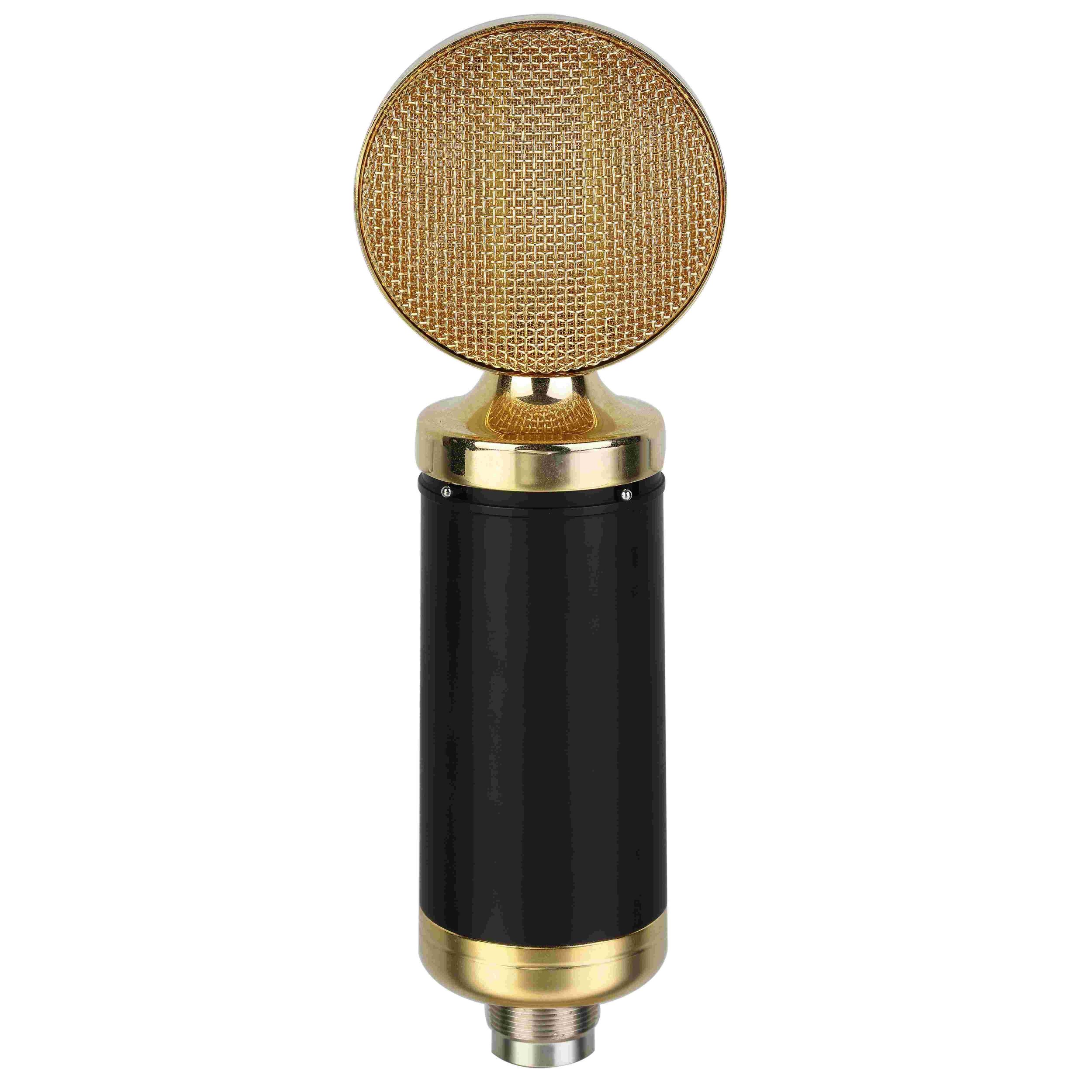 RM004 Micrófono de cinta profesional